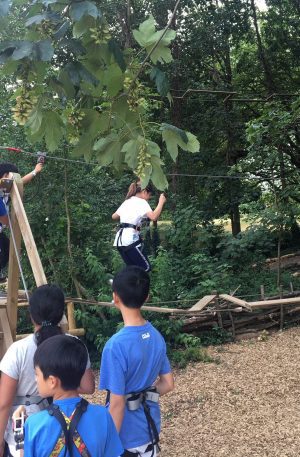 Junior Summer English 12-19